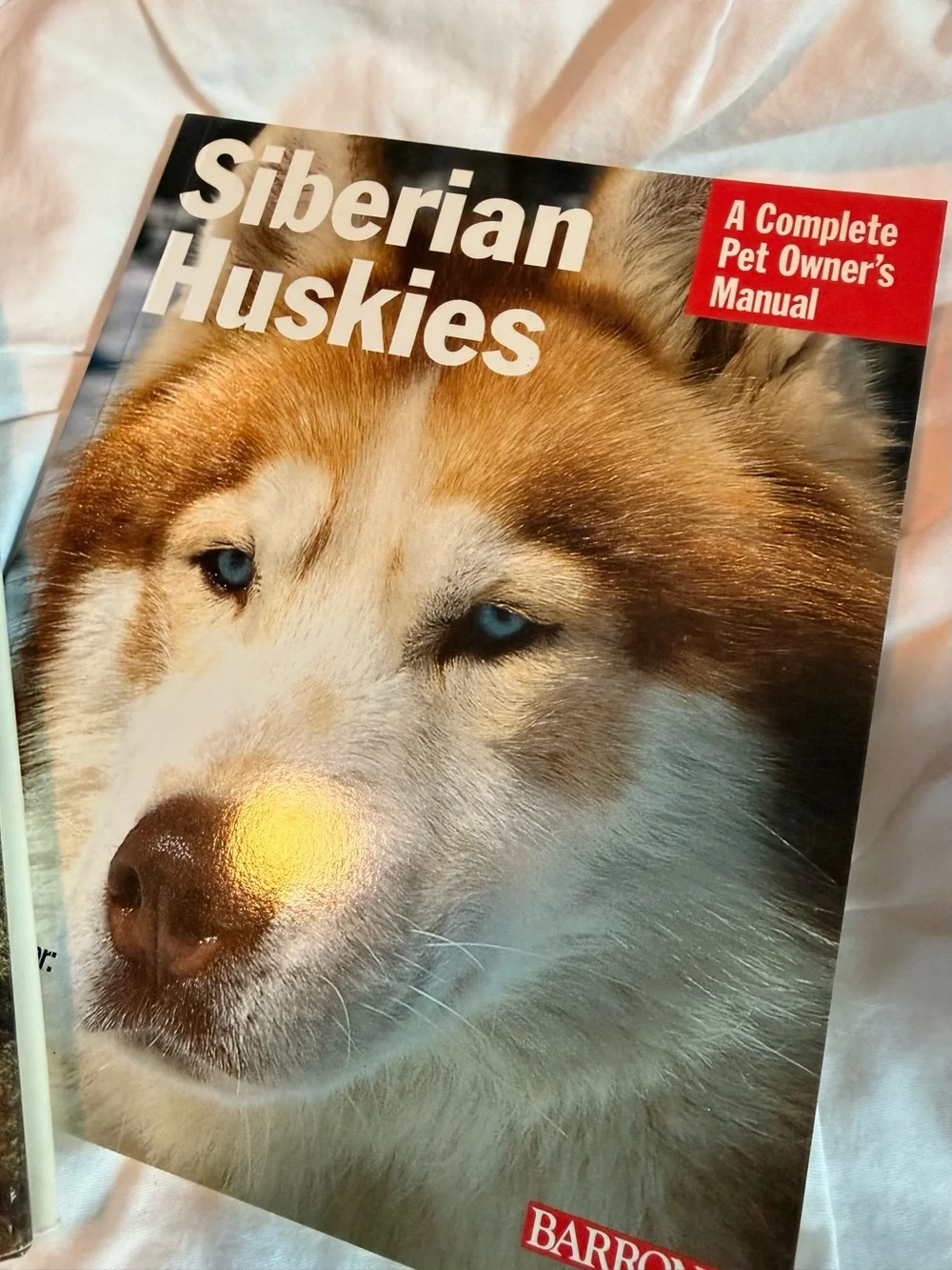Siberian Husky Books and Husky Beanie Baby
